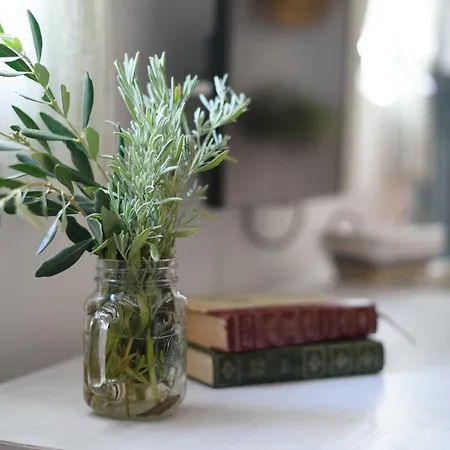Casa vacanze Vintage Village House *